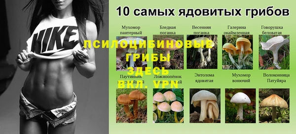 прущие грибы Алексеевка