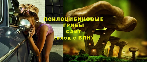 прущие грибы Алексеевка