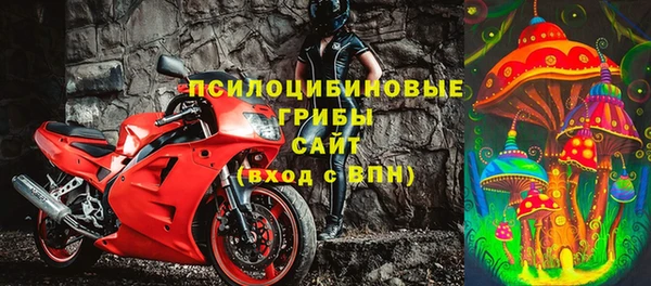 прущие грибы Алексеевка