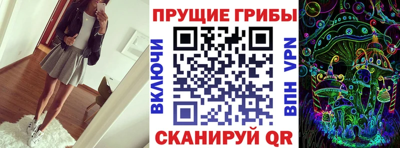 Псилоцибиновые грибы GOLDEN TEACHER  закладка  Кызыл 
