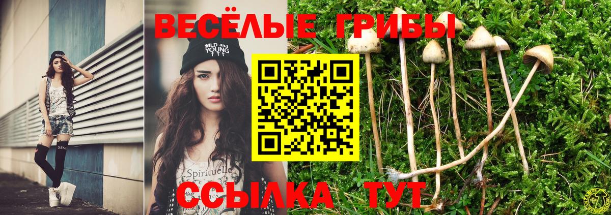 Галлюциногенные грибы мицелий Кызыл