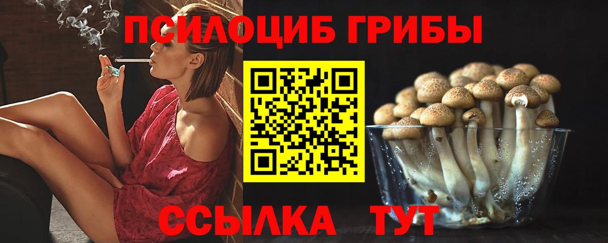 Псилоцибиновые грибы мухоморы  дарнет шоп  Кызыл  Вход с VPN 